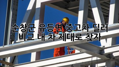 순창군 유등면 중고차 딜러 비교: 내 차, 제대로 찾자!